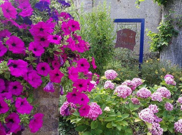 Les Quatre Saisons Bed & Breakfast Moitron-sur-Sarthe Dış mekan fotoğraf